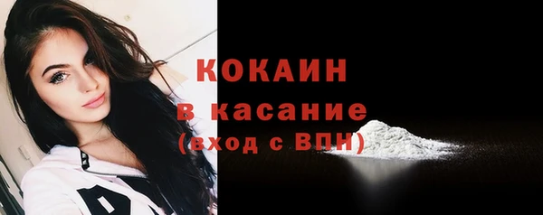 эйфоретик Бородино