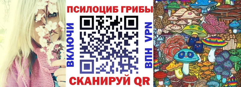 Псилоцибиновые грибы Psilocybine cubensis Кирово-Чепецк